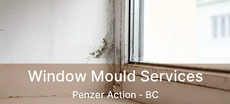  Window Mould Services Penzer Action - BC