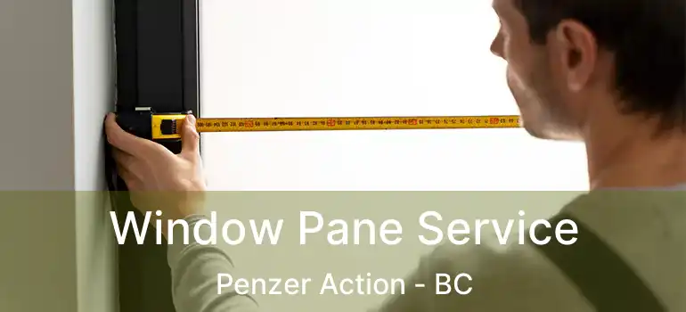  Window Pane Service Penzer Action - BC