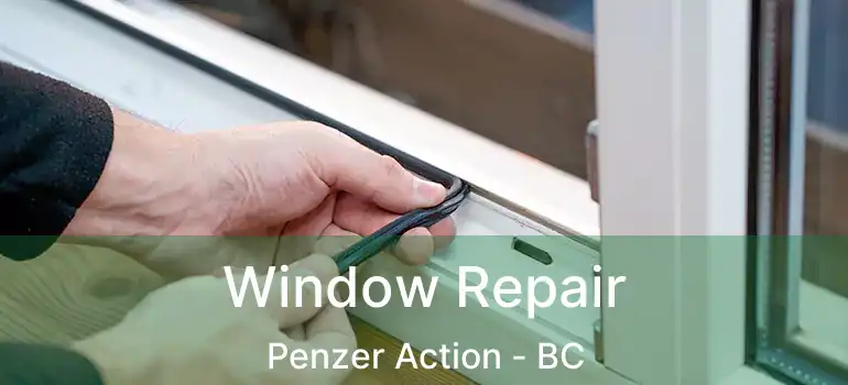  Window Repair Penzer Action - BC