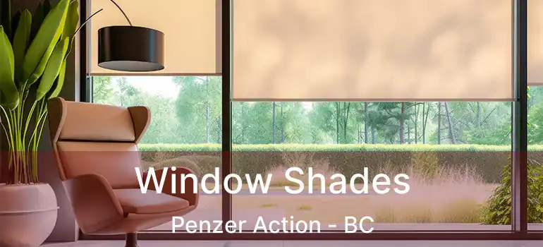  Window Shades Penzer Action - BC