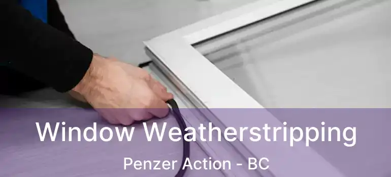  Window Weatherstripping Penzer Action - BC